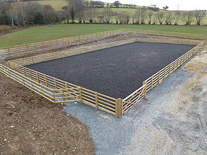 images/b.jpg#joomlaImage://local-images/b.jpg?width=300&height=225