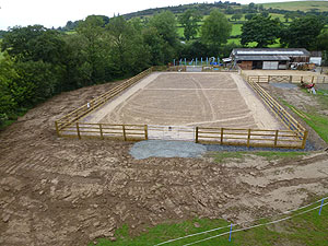 images/d.jpg#joomlaImage://local-images/d.jpg?width=300&height=225